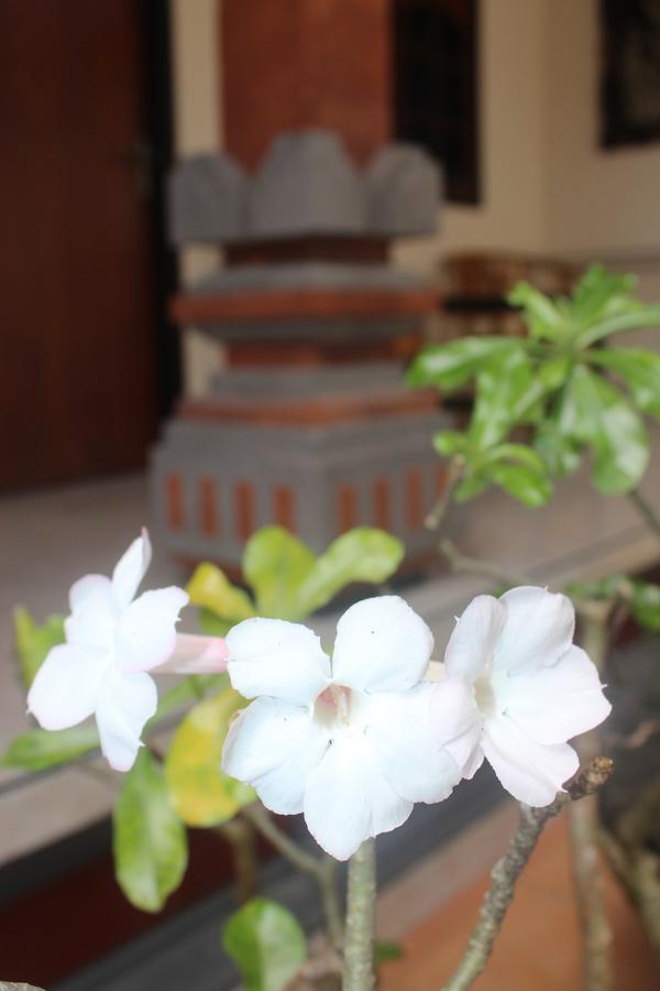 Js Guest House Seminyak Dış mekan fotoğraf
